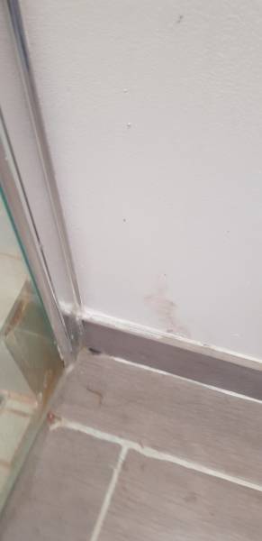 coût expertise bâtiment Alpes-Maritimes