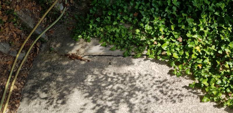 contre expertise assurance pas cher