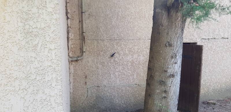 expert bâtiment Bouches-du-Rhône Marseille