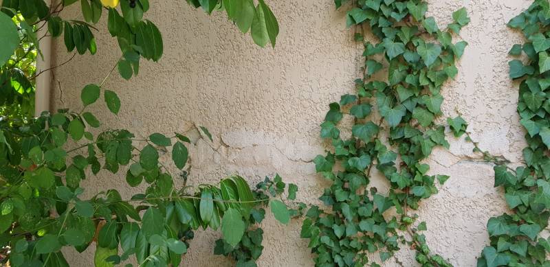 expert bâtiment pas cher