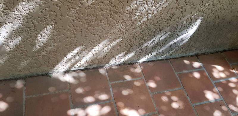 EXPERTISE ÉLECTRICITÉ CONFORMITÉ