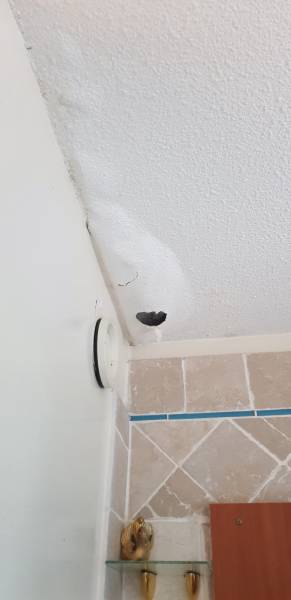 coût expertise judiciaire bâtiment Alpes-Maritimes