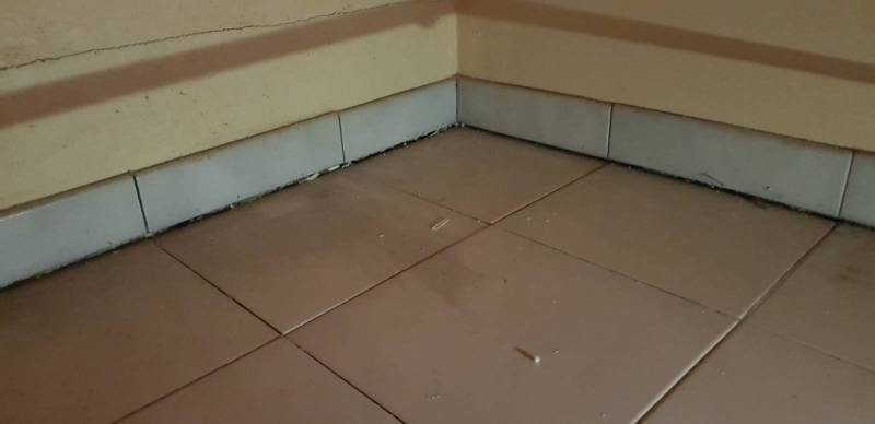 Assistance Litige bâtiment et construction