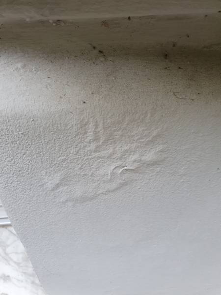 expertise avant achat à toulon