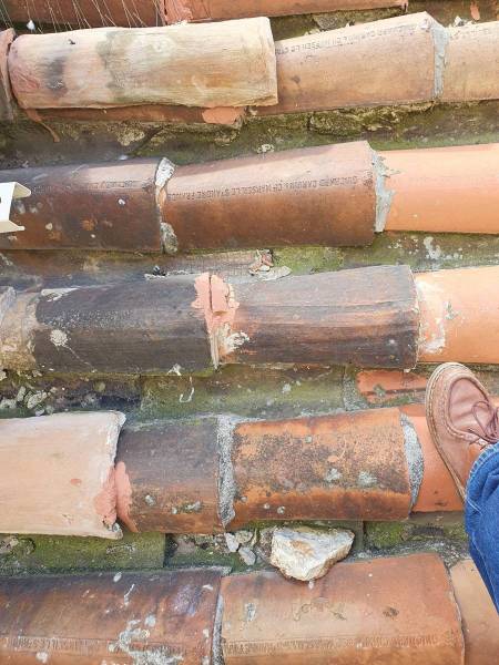 expertise avant achat