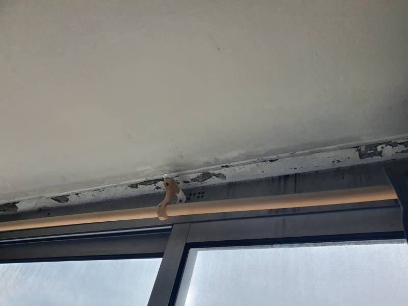 Expertises juridictionnelles