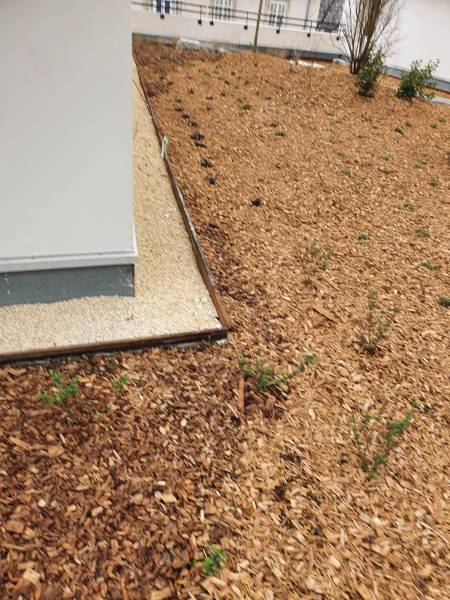 achat en vefa - la levée des réserves des parties communes