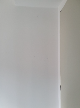 Quel est le prix d'un expert en bâtiment ?