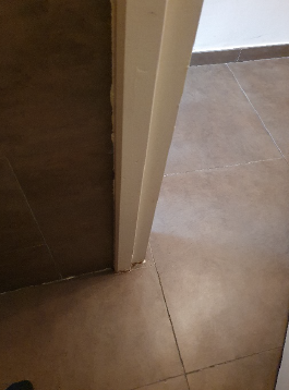 Assurance habitation : faire estimer les dégâts par un expert privé ?