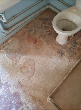 cabinet d'expertise construction