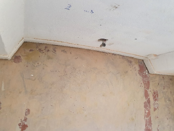 expert en bâtiment agréé par le tribunal