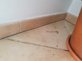 Contrexpertise assurance catastrophe naturelle