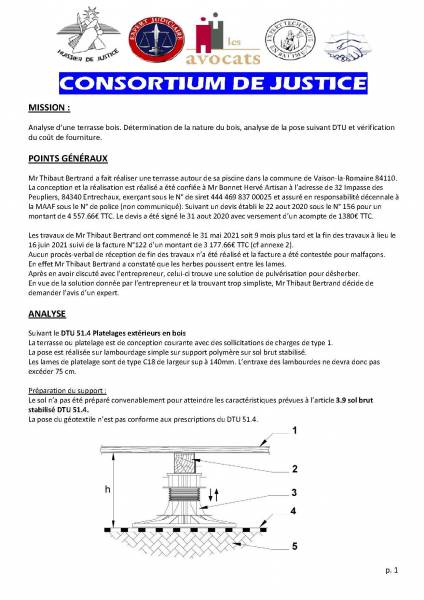 rapport d'expert judicaire