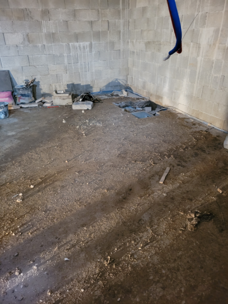 expertise construction bois