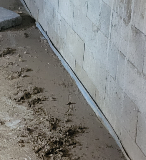 expert construction bois