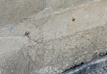 Notre zone d'activité pour ce service Assistance par un expert durant la réception de travaux sur maison pour garantir la conformité et les normes à